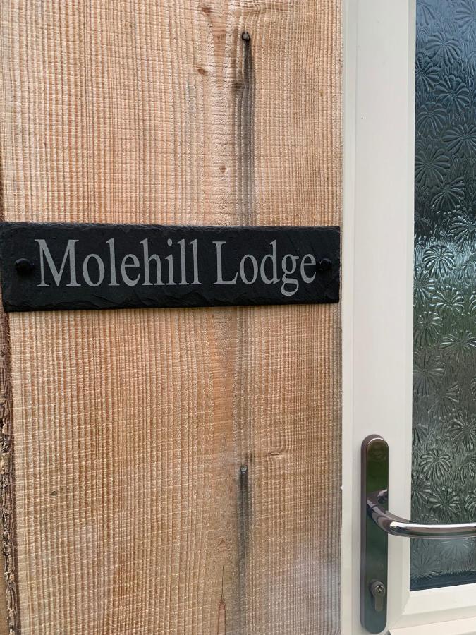 Molehill Lodge Swansea Exteriér fotografie