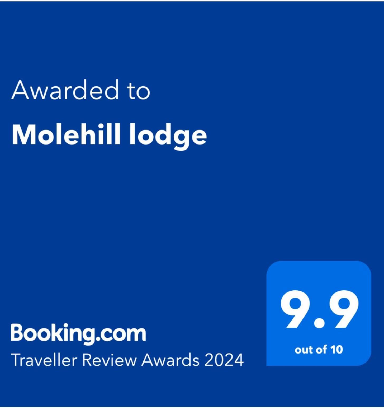 Molehill Lodge Swansea Exteriér fotografie