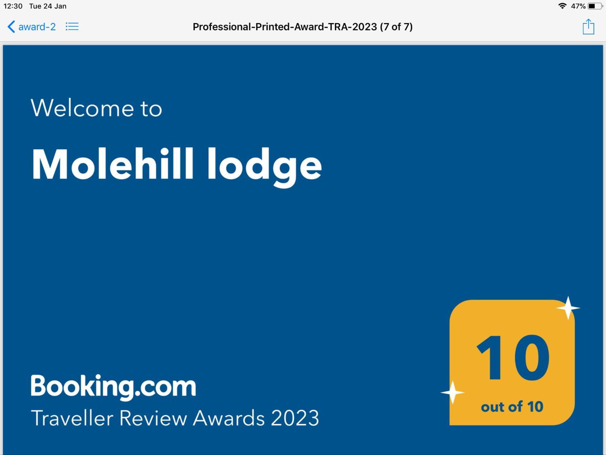 Molehill Lodge Swansea Exteriér fotografie